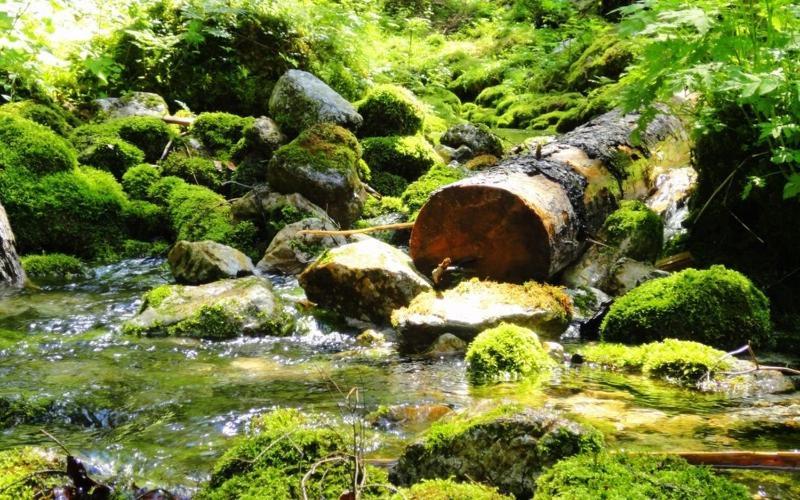 Hotel Ehrwalderhof エクステリア 写真