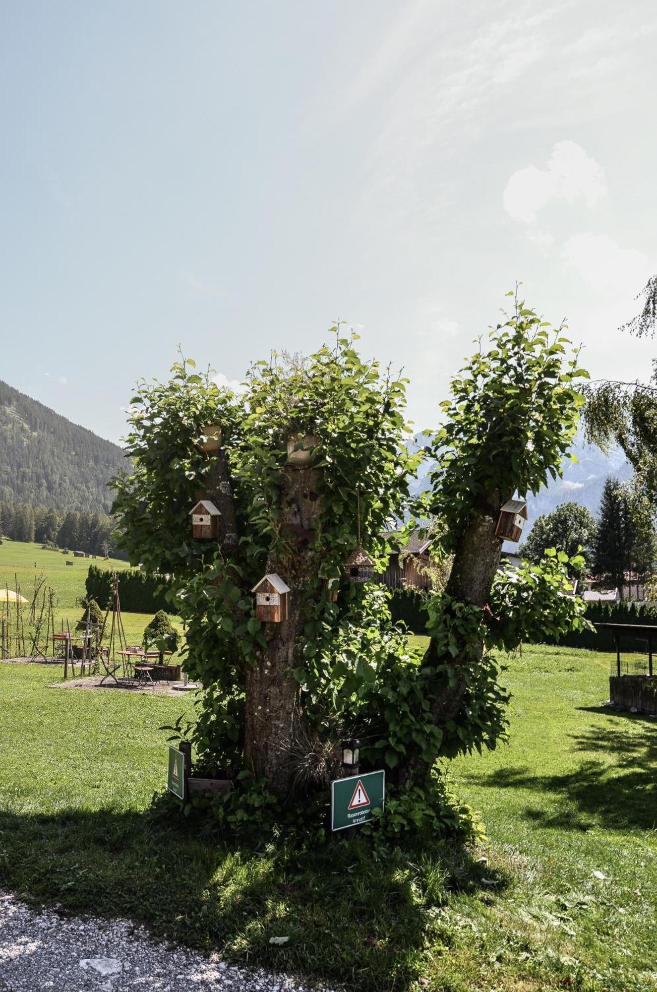 Hotel Ehrwalderhof エクステリア 写真
